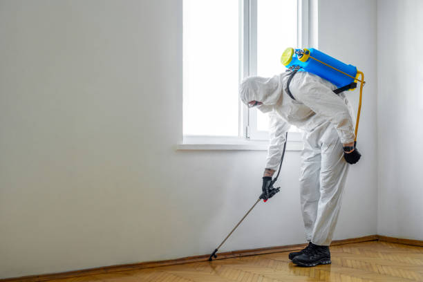 Professional Pest control in Parchment, MI